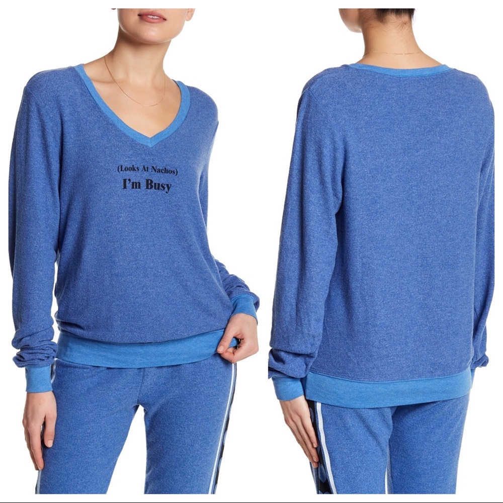 WILDFOX I'm Busy Soft Knit Blue V- Neck Sweater